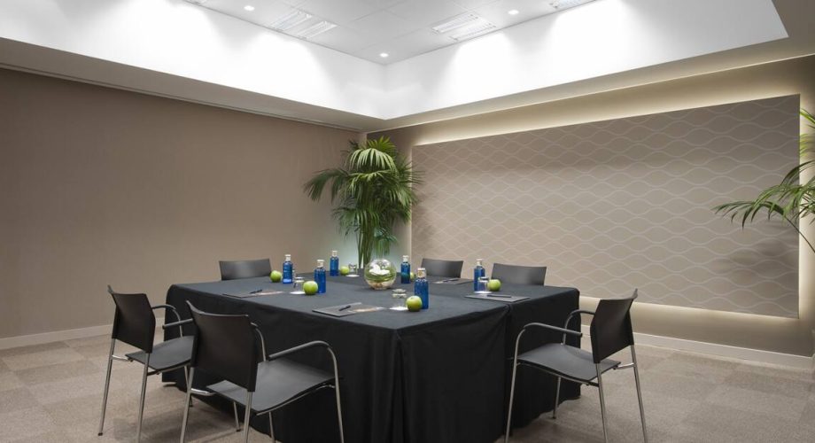 Melia Castilla Meeting Room