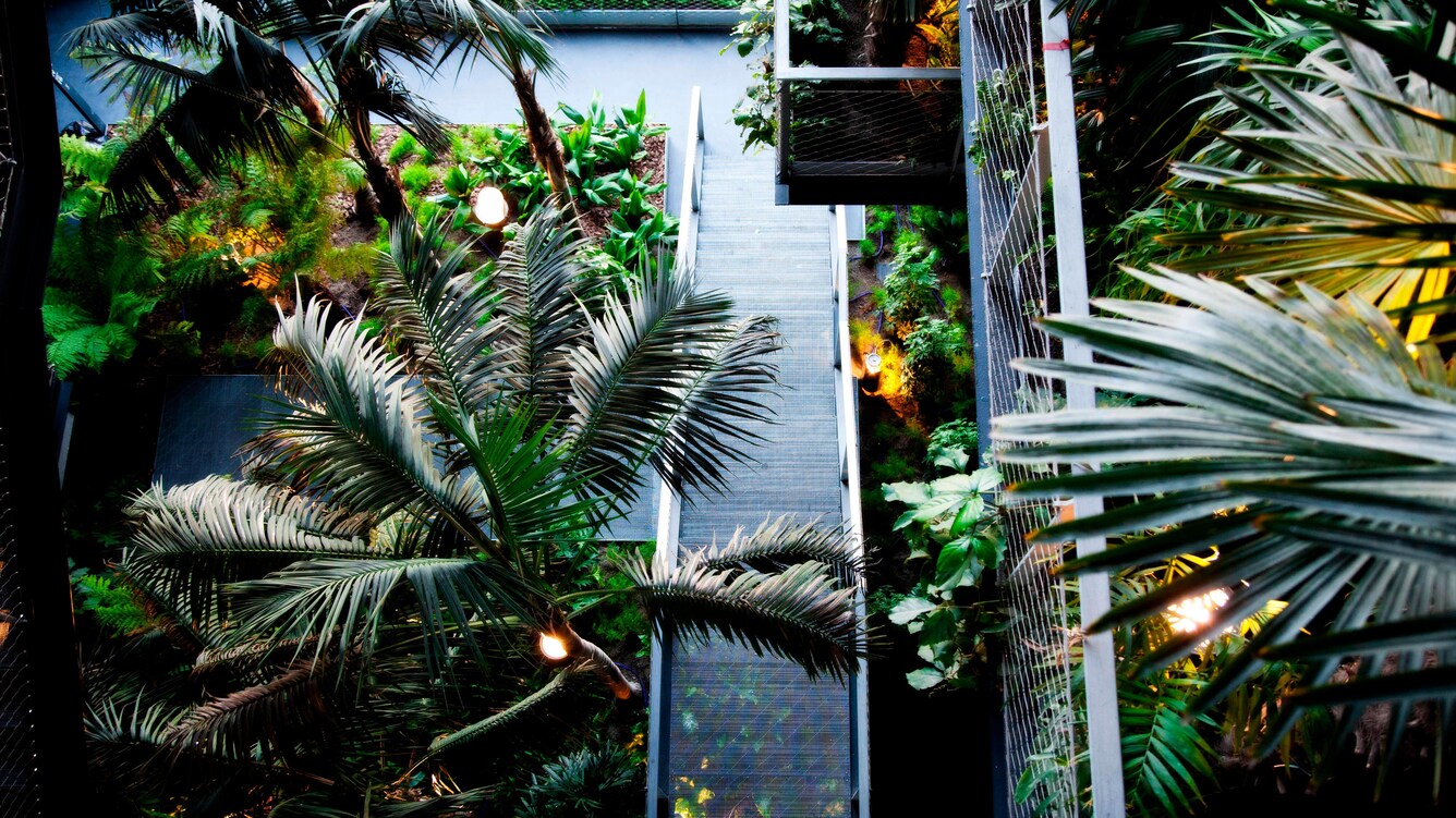 Tropical palms and central staircase inside Renaissance Barcelona Fira